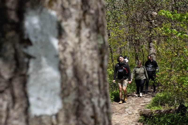 Zach Cross, followed by his wife Grayson and father Tim,  hikes up Springer Mountain to the Southern terminus of the Appalachian Trail to start his thru-hike Monday. The white blaze on the tree in the foreground is the marking that designates the trail.ÊÊ(Ben Gray / Ben@BenGray.com)