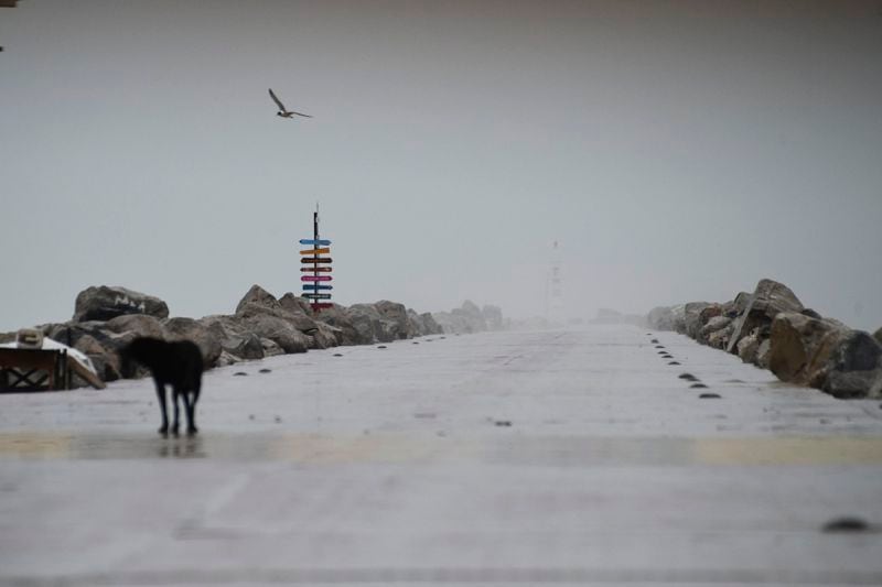 A bird flies over a deserted pier in Miramar, in the southwestern Gulf of Mexico, Wednesday, June 19, 2024. Tropical Storm Alberto formed on Wednesday in the southwestern Gulf of Mexico, the first named storm of the hurricane season. (AP Photo/Fabian Melendez)
