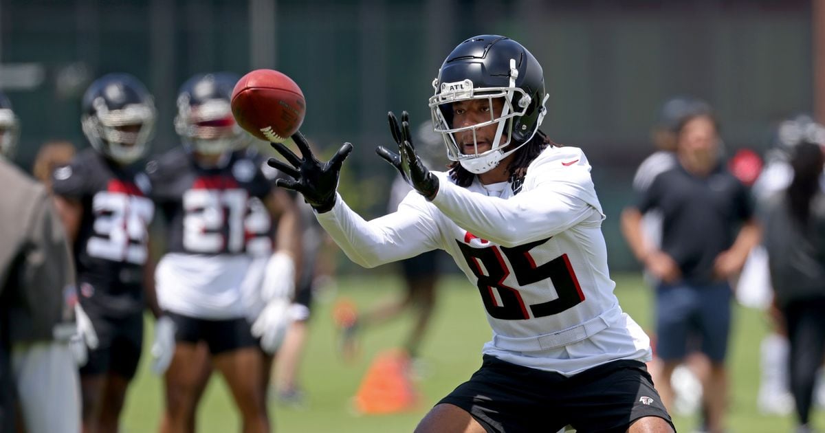 Falcons sign WR KeeSean Johnson - The Falcoholic