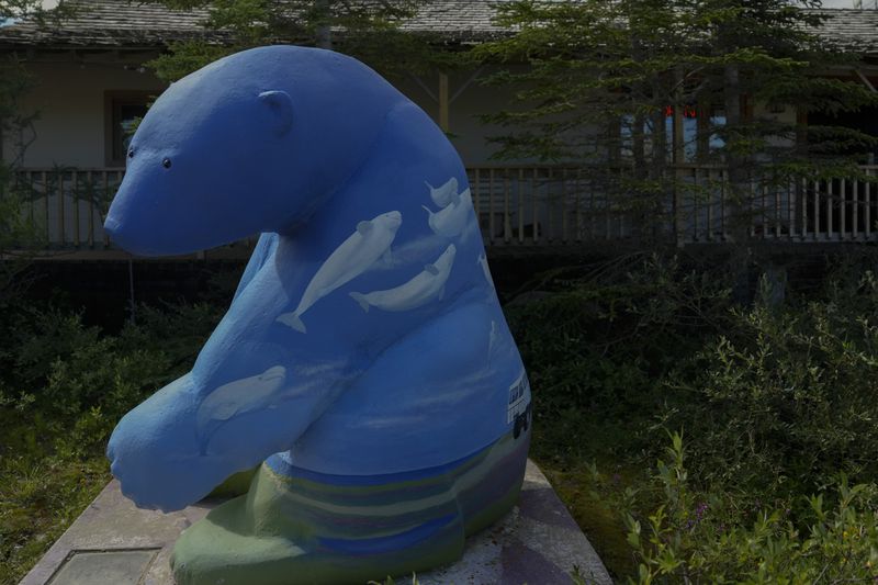 A polar bear statue with painted beluga whales sits outside a gift shop, Tuesday, Aug. 6, 2024, in Churchill, Manitoba. (AP Photo/Joshua A. Bickel)