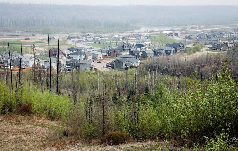 Burned trees from the 2016 wildfire stand sentinel over a neighbourhood in Fort McMurray, Alta., on Wednesday, May 15, 2024. (Jeff McIntosh /The Canadian Press via AP)