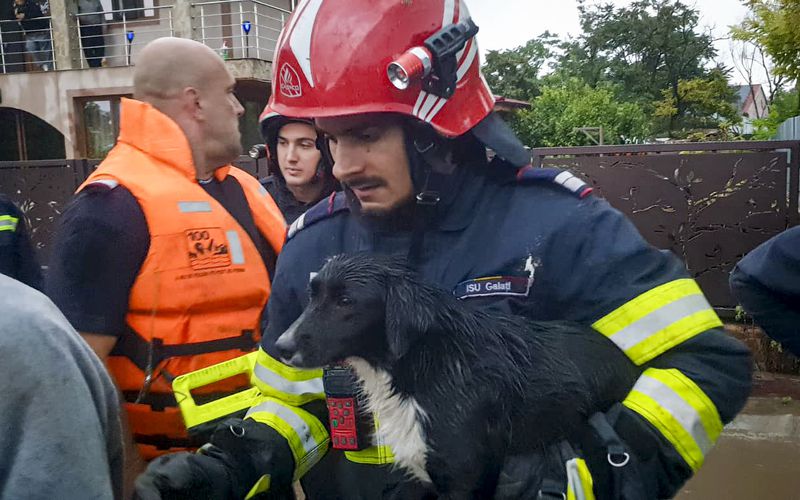 In this photo released by the Romanian Emergency Services Galati (ISU Galati), a rescuer carries a dog in Pechea, Romania, Saturday, Sept. 14, 2024 after torrential rainstorms left scores of people stranded in flooded areas. (Romanian Emergency Services - ISU Galati via AP)