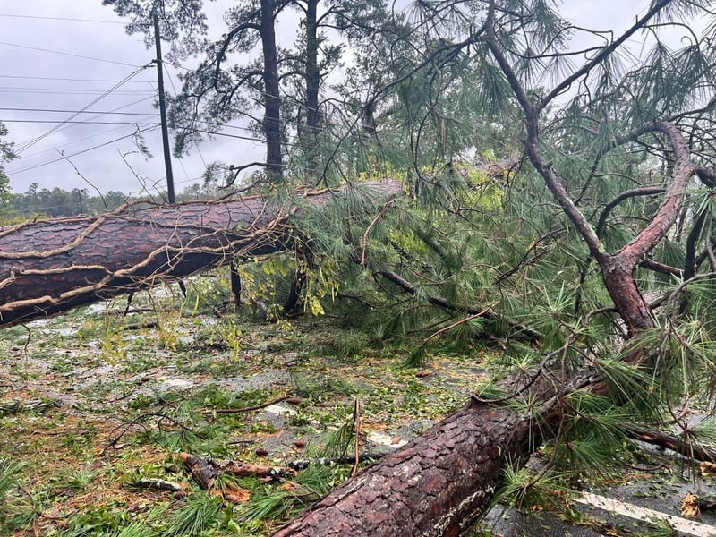 Downed trees in Augusta, GA following Hurricane Helene on September 27, 2024. (Photo Courtesy of Charmain Brackett)