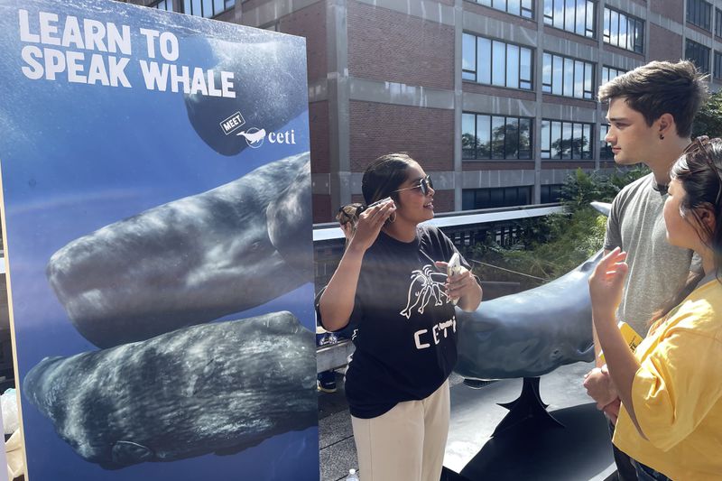 People talk near an exhibit by CETI, an organization that seeks to listen to and translate the communication of sperm whales, at the Climate Science Fair, an outdoor exhibit hosted by the Emerson Collective during the annual Climate Week NYC and United Nations General Assembly, on Sunday, Sept. 22, 2024 in New York. (AP Photo/Thalia Beaty)