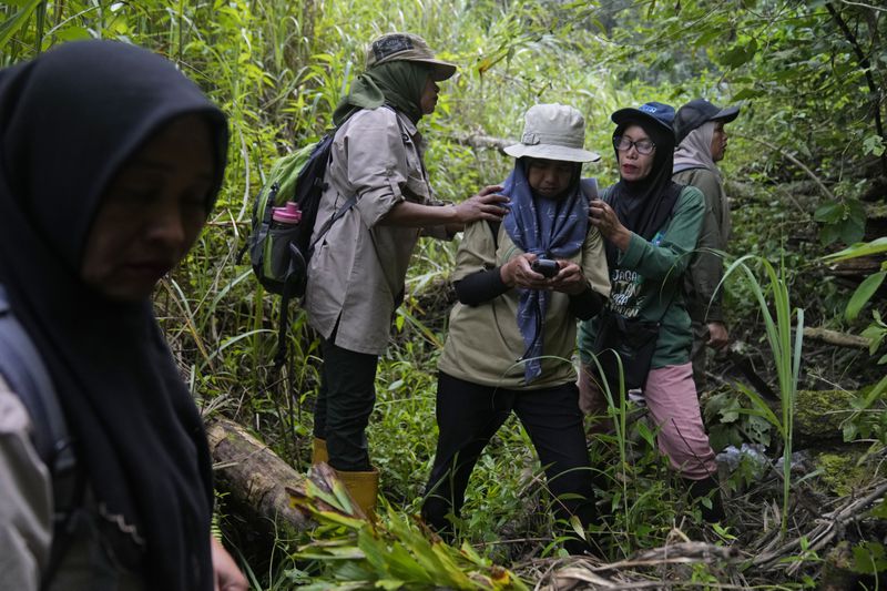 Members of a female ranger group mark their position on a GPS device during a forest patrol in Damaran Baru, Aceh province, Indonesia, Tuesday, May 7, 2024. The female-led group of forest rangers are defying social norms to lead patrols in the jungle to combat deforestation. (AP Photo/Dita Alangkara)