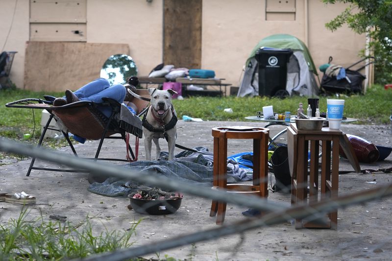 A dog named Tamika barks as a homeless person sleeps in the backyard of an abandoned house on the first day of a statute that took effect, making it illegal in Florida to sleep on sidewalks, in parks, on beaches or in other public spaces — one of the country's strictest anti-homelessness laws, Tuesday, Oct. 1, 2024, in Fort Lauderdale, Fla. (AP Photo/Lynne Sladky)