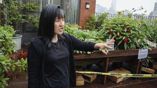 Beatrice Chen, executive director of Immigrant Social Services, walks by the garden of the Senior Living Chung Pak complex, Thursday, Aug. 8, 2024, in New York. (AP Photo/Kena Betancur)