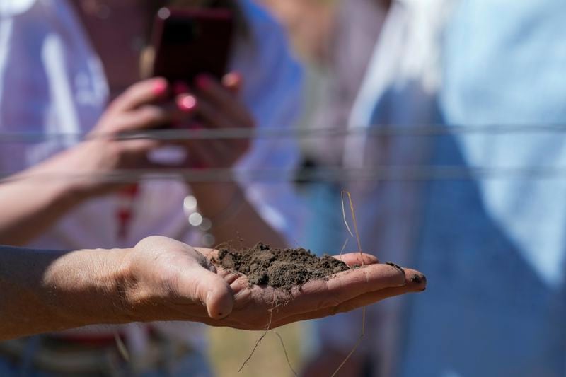 Ivo Jeramaz, left, holds up soil from a Grgich Hills Estate vineyard while talking to Ukrainian winemakers about regenerative farming Wednesday, June 5, 2024, in American Canyon, Calif. (AP Photo/Godofredo A. Vásquez)