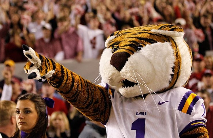 The Best Cat Mascots in Professional and Collegiate Sports