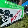 A sign outside a business urges voters to reject Measure J, which would phase out large-scale animal farms in Sonoma County, Thursday, Sept. 19, 2024, in Petaluma, Calif. (AP Photo/Haven Daley)