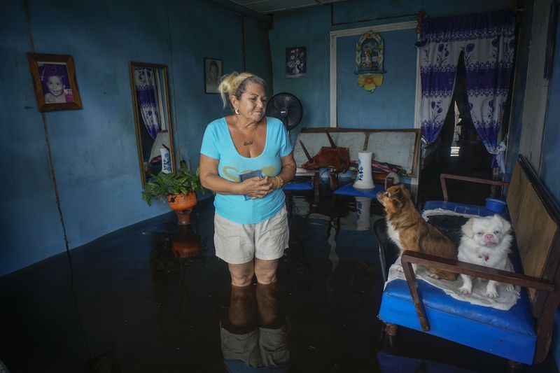 A woman looks at her dogs sitting on a sofa, as she stands inside her home that was flooded in the passing of Hurricane Helene, in Batabano, Mayabeque province, Cuba, Thursday, Sept. 26, 2024. (AP Photo/Ramon Espinosa)