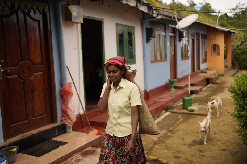 Tea plantation worker Adaraja Ali Rani leaves her living quarters to pluck tea tips in Spring Valley estate in Badulla, Sri Lanka, Tuesday, Sep. 10, 2024. (AP Photo/Eranga Jayawardena)