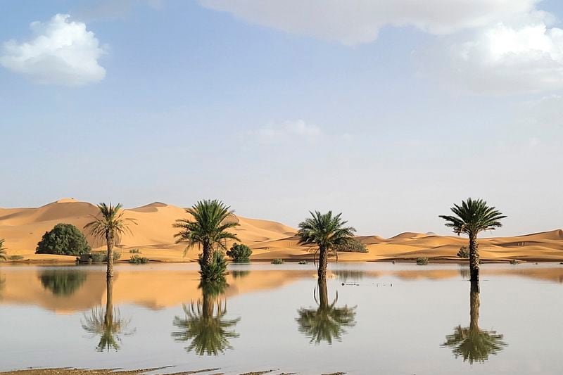 Palm trees are reflected in a lake caused by heavy rainfall in the desert town of Merzouga, near Rachidia, southeastern Morocco, Wednesday, Oct. 2, 2024. (AP Photo)