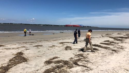 A shoreline assessment team attached to the St. Simons Sound Incident Unified Command surveys Driftwood Beach at Jekyll Island, Sept. 16, 2019. The team covered roughly 7 miles of coastline and discovered no pollution.