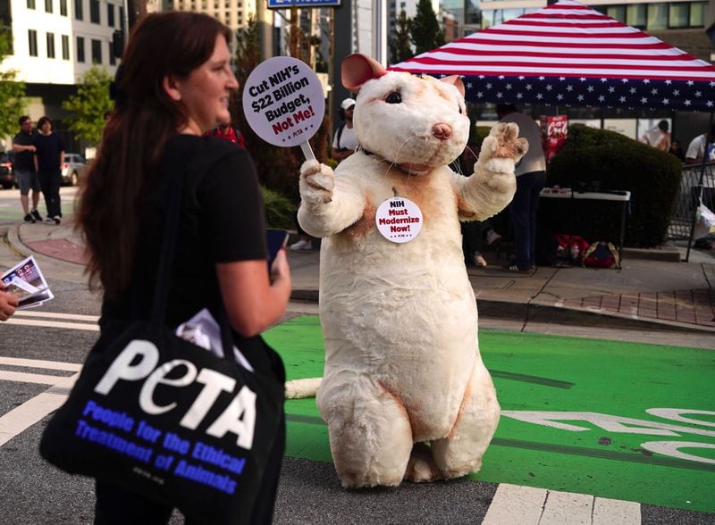 A PETA protester in a mouse costume waves to demonstrators in Midtown.