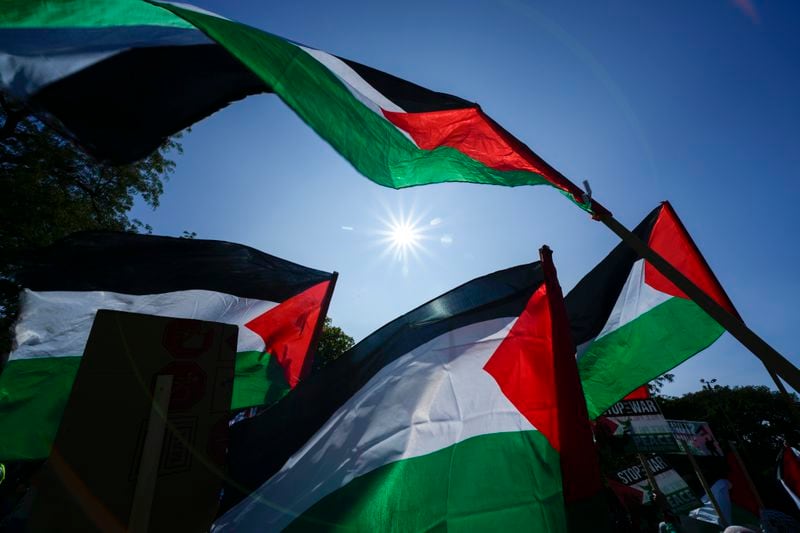 Protesters rally at a demonstration in Union Park during the Democratic National Convention Wednesday, Aug. 21, 2024, in Chicago. (AP Photo/Julio Cortez)