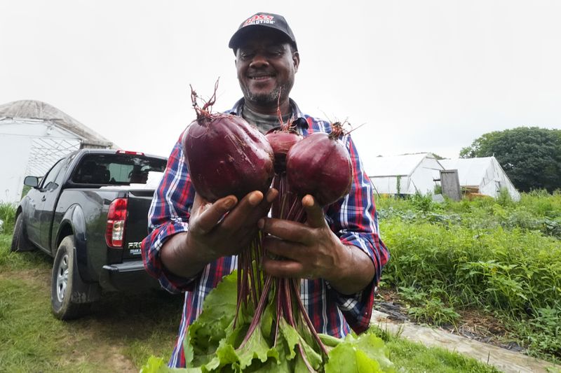 Farmer Sylvain Bukasa, a refugee from Democratic Republic of the Congo, smiles while showing the beets grown on his plot at Fresh Start Farm, Aug. 19, 2024, in Dunbarton, N.H. (AP Photo/Charles Krupa)