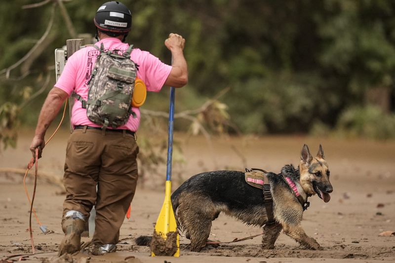 FILE - A search and rescue dog and handler look for victims in deep mud in the aftermath of Hurricane Helene, Oct. 1, 2024, in Swannanoa, N.C. (AP Photo/Mike Stewart, File)