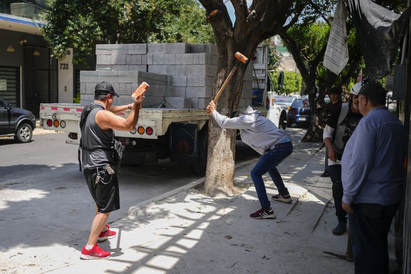 Members of The Tree Army, a group that works to improve the urban forest, break concrete placed on tree roots in Mexico City, Monday, Aug. 26, 2024. (AP Photo/Eduardo Verdugo)