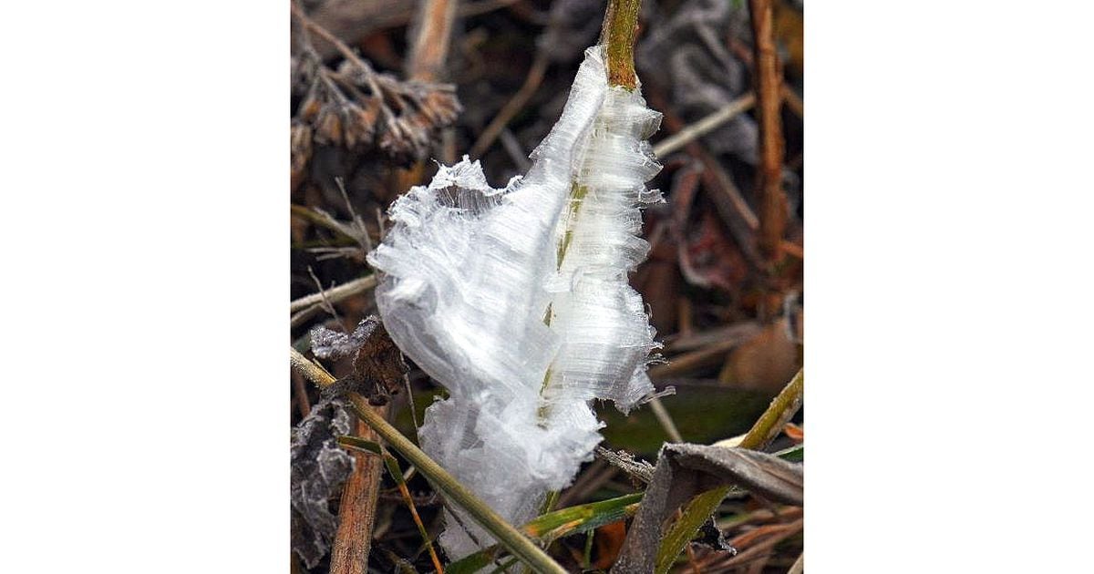 Mike's Weather School: How does frost form?