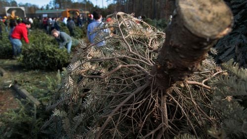 Check out where and when to participate in the “Bring one for the Chipper” recycling program.