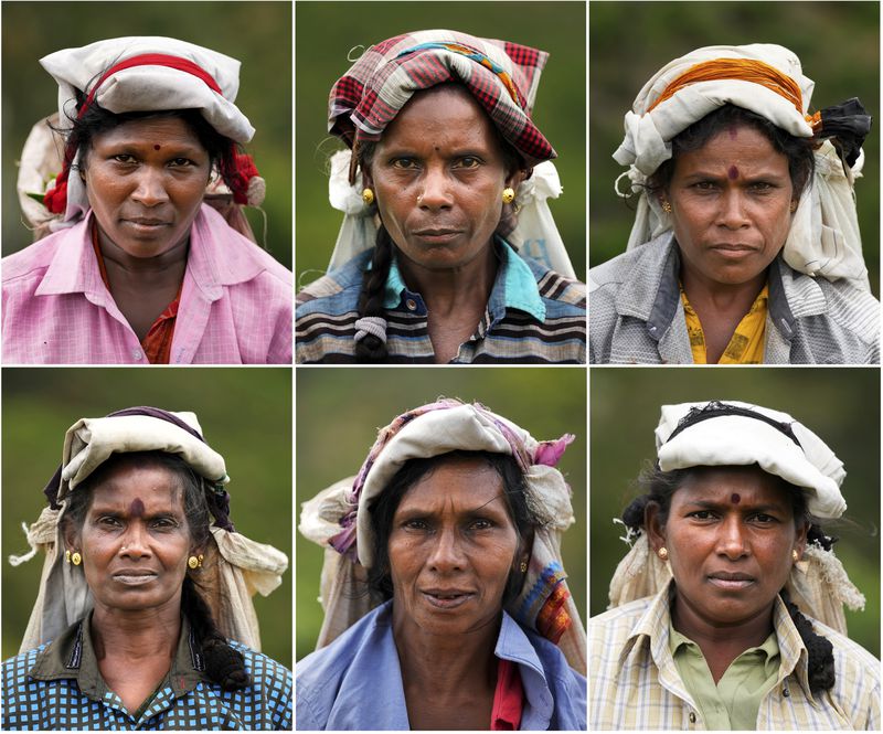 In this combo photograph, women tea plantation workers, clockwise from top left, Kanakambige Velayudan, Kaariman Thangamma, Tharmaraj Kaladevi, Dharmawathi, Kumaralingum Kamala, and Nadaraja Chitramani pose for a photograph during a break in their work at a tea plantation in Badulla, Sri Lanka, Tuesday, Sept. 10, 2024. (AP Photo/Eranga Jayawardena)