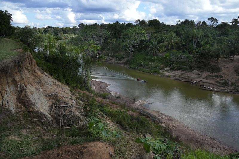 A motorized boat maneuvers Amonia River at in the Apiwtxa village, Acre state, Brazil, Saturday, June 22, 2024. (AP Photo/Jorge Saenz)