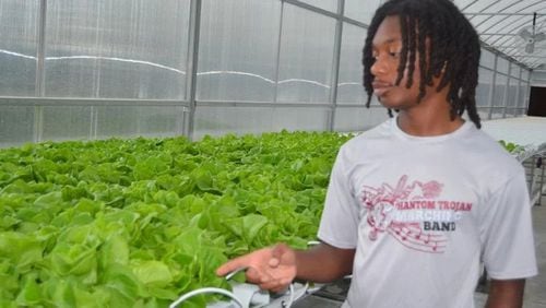 Dougherty High School student Trent McCrary, a summer intern with the Commodore Conyers College & Career Academy Agribusiness Pathway program, explains the process of growing lettuce at the hydroponics greenhouse. (Photo Courtesy of Alan Mauldin)