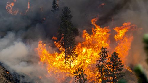 Trees and vegetation go up in flames at the River Fire Thursday, July 25, 2024, nearby Myrtle, Idaho. Lightning strikes have sparked fast-moving wildfires in Idaho, prompting the evacuation of multiple communities. (August Frank/Lewiston Tribune via AP)