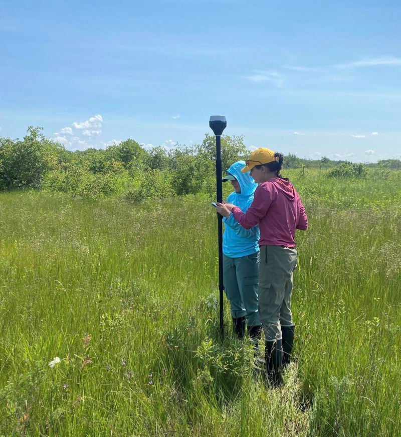 This July 9, 2024 photo provided by Steve Travers shows Josie Pickar and Kiana Sayler recording GPS coordinates of a western prairie fringed orchid on Tuesday, July 9, 2024, near Gardenton, Manitoba. (Steve Travers via AP)