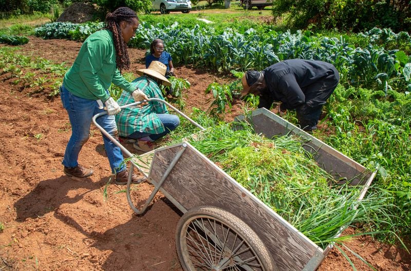 Southeastern African American Farmers Organic Network organizes work days as a way for Black farmers to develop ties with colleagues. Phil Skinner for The Atlanta Journal-Constitution 