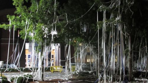 Miles of toilet paper cover the trees outside Marietta High School to celebrate the first day of school. Photo: Jennifer Brett