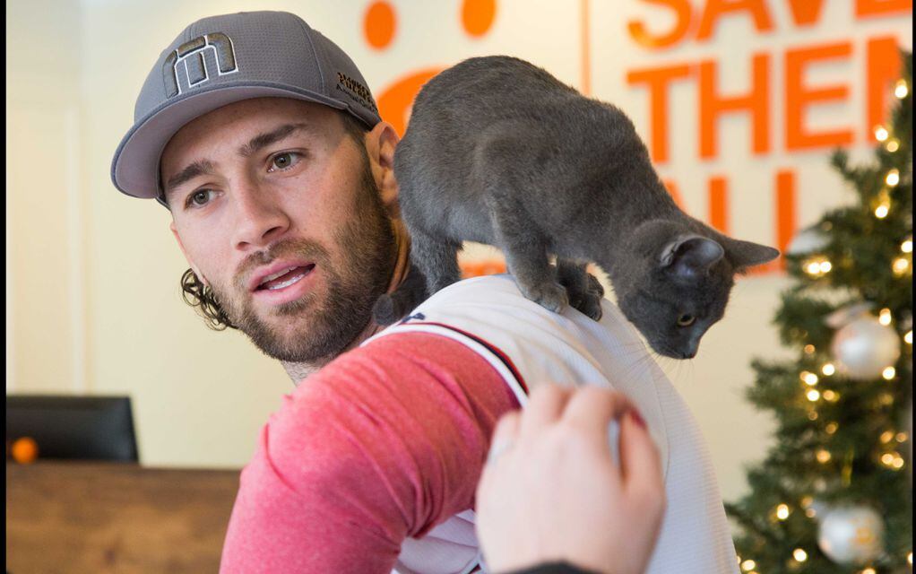 Charlie Culberson - Atlanta Braves baseball player Freddie Freeman poses  with his son Charlie (age 2), wife Chelsea, Sarah and Charlie Culberson  during a visit to Best Friends in Atlanta as part