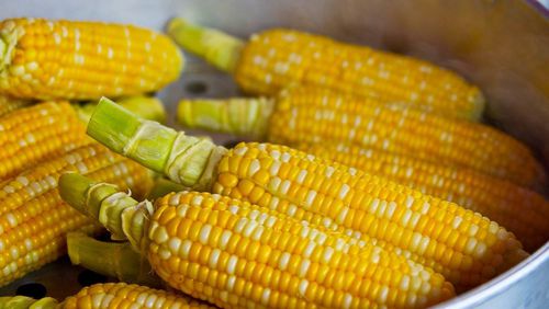 GIdeon Oji wolfed down 57 ears of corn in 12 minutes Sunday in South Florida.