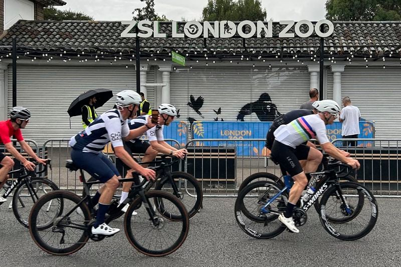 A cyclist takes a photo while passing a mural by the elusive street artist Banksy at the entrance to the London Zoo, Wednesday, Aug. 14, 2024. The elusive street artist's recent works that appeared all over London on nine consecutive days apparently came to a conclusion after a final mural surprised staff who arrived early Tuesday to feed the animals at the London Zoo. (AP Photo/Brian Melley)