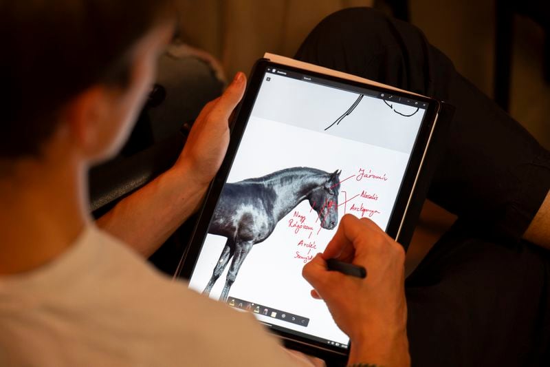 A first-year student takes notes during an anatomy lecture using a live horse from Dr. Peter Sotonyi, rector of the University of Veterinary Medicine in Budapest, Hungary, using a live horse, Monday, Sept 9. 2024. (AP Photo/Denes Erdos)