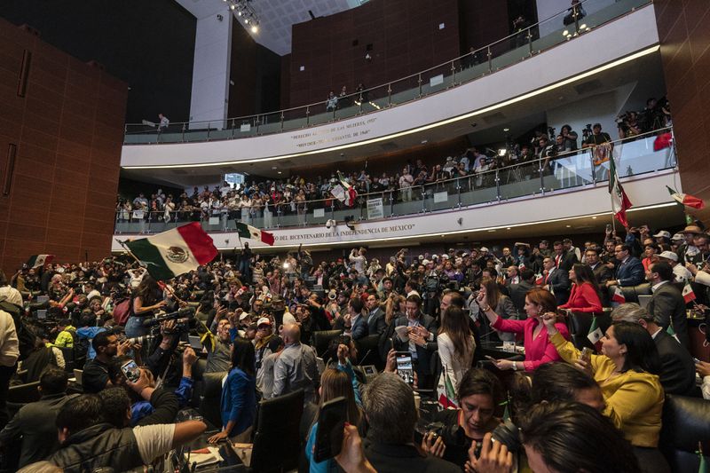 Protesters stand alongside opposition Senators after interrupting a debate over the government's proposed judicial reform, which would make judges stand for election, in Mexico City, Tuesday, Sept. 10, 2024. (AP Photo/Felix Marquez)