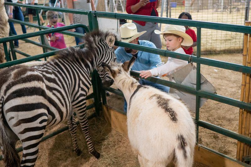 The Eudora Farms Petting Zoo is a favorite of young and old alike at the Georgia National Fair. Photo courtesy of the Georgia National Fair.