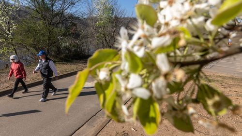 Under flowering trees, Susan and Mark Jacobson take a stroll on Thursday, March 14, 2024 at Azalea Park located in the 200 block of Azalea Drive in Roswell. Winter is giving way to Spring. (John Spink / John.Spink@ajc.com)