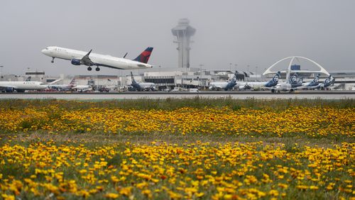 FILE - Flowers bloom along the runways as a Delta Airlines jet takes off at the Los Angeles International Airport in Los Angeles on April 12, 2024. The chief executive of Delta Air Lines expects flight cancellations and delays that resulted from a global technology breakdown last week to be resolved by Thursday, July 25. (AP Photo/Damian Dovarganes, File)