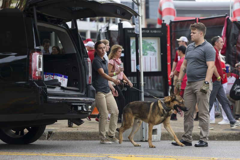 Automobiles are searched by law enforcement as they drive onto University Boulevard before the Alabama vs Georgia football game, Saturday, Sept. 28, 2024, in Tuscaloosa, Al. Security was increased with the expected arrival of former President Donald Trump. (Jason Getz / AJC)

