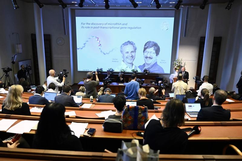 Americans Victor Ambros, left, and Gary Ruvkun, are seen on a screen after being awarded this year's Nobel Prize in Physiology or Medicine during a press conference to announce the winners at the Karolinska Institute in Stockholm, Sweden, on Monday, Oct. 7, 2024. (Christine Olsson/TT News Agency via AP)