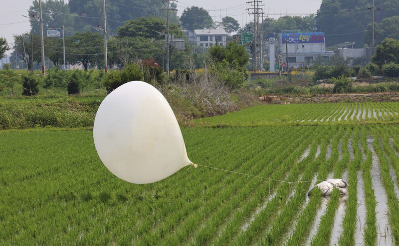 FILE - A balloon presumably sent by North Korea, is seen in a paddy field in Incheon, South Korea, on June 10, 2024. South Korea is monitoring an expected change in the wind direction on Monday, June 24 that could allow North Korea to send more trash-carrying balloons across their heavily armed border, in their latest bout of tit-for-tat psychological warfare. (Im Sun-suk/Yonhap via AP, File)