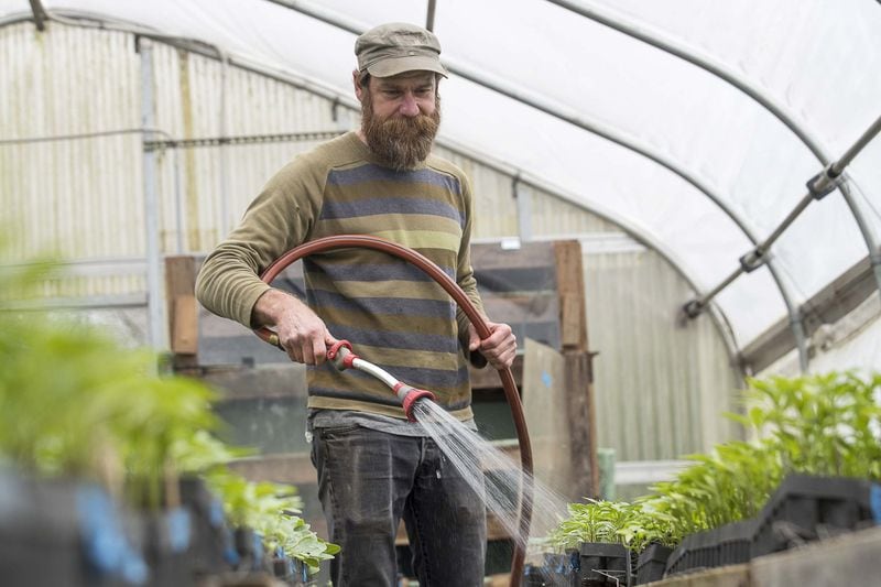 Joe Reynolds, co-owner of Love is Love Farm at Gaia Gardens, waters seedlings in a greenhouse on the farmland in Decatur, Tuesday, March, 17, 2020. (ALYSSA POINTER/ALYSSA.POINTER@AJC.COM)