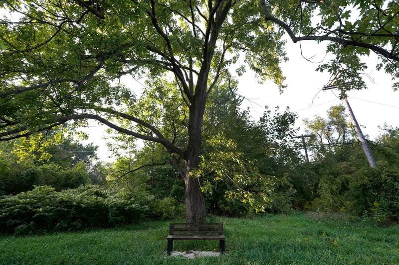 A bench sits near a meadow in Callahan Park in Detroit, Tuesday, Sept. 10, 2024. (AP Photo/Paul Sancya)