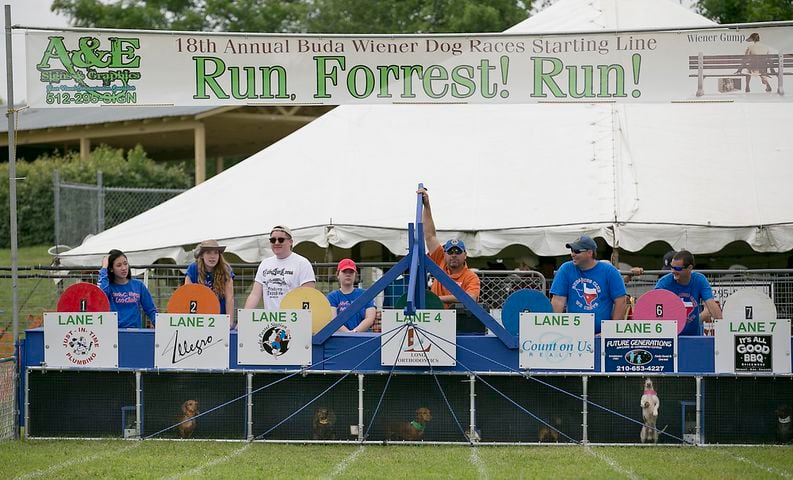 Buda Wiener Dog Race, 4.26.15