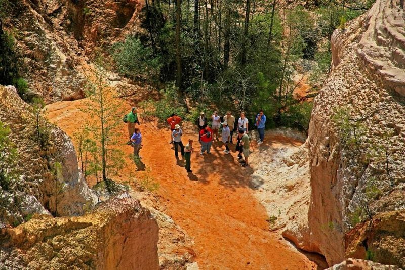 Park rangers will help visitors explore the hidden gems of Providence Canyon Outdoor Recreation Area (Lumpkin). This canyon was carved by erosion due to poor farming practices during the 1800s. Learn about the language of soft Coastal Plain soils called Nankin, Cowarts, Mobila and Orangeburst. Photo courtesy Georgia State Parks