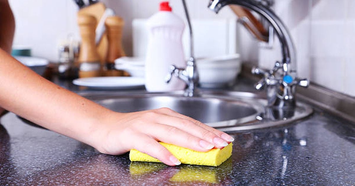 When to Replace a Kitchen Sponge, According to a Germ Expert