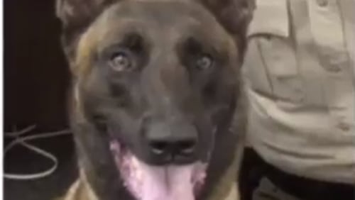 A Monroe County sergeant has been demoted after leaving his K-9 partner in his vehicle, which resulted in the dog’s death. (Image: YouTube screenshot)