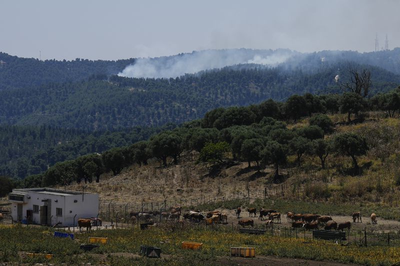 Smokes rises from the Biriya forest near the border with Lebanon, northern Israel, Tuesday, June 4, 2024. The Israeli military said Tuesday that six soldiers were lightly injured in a brush fire in the country's north that was sparked by fighting with the Lebanese militant group Hezbollah. (AP Photo/Ariel Schalit)